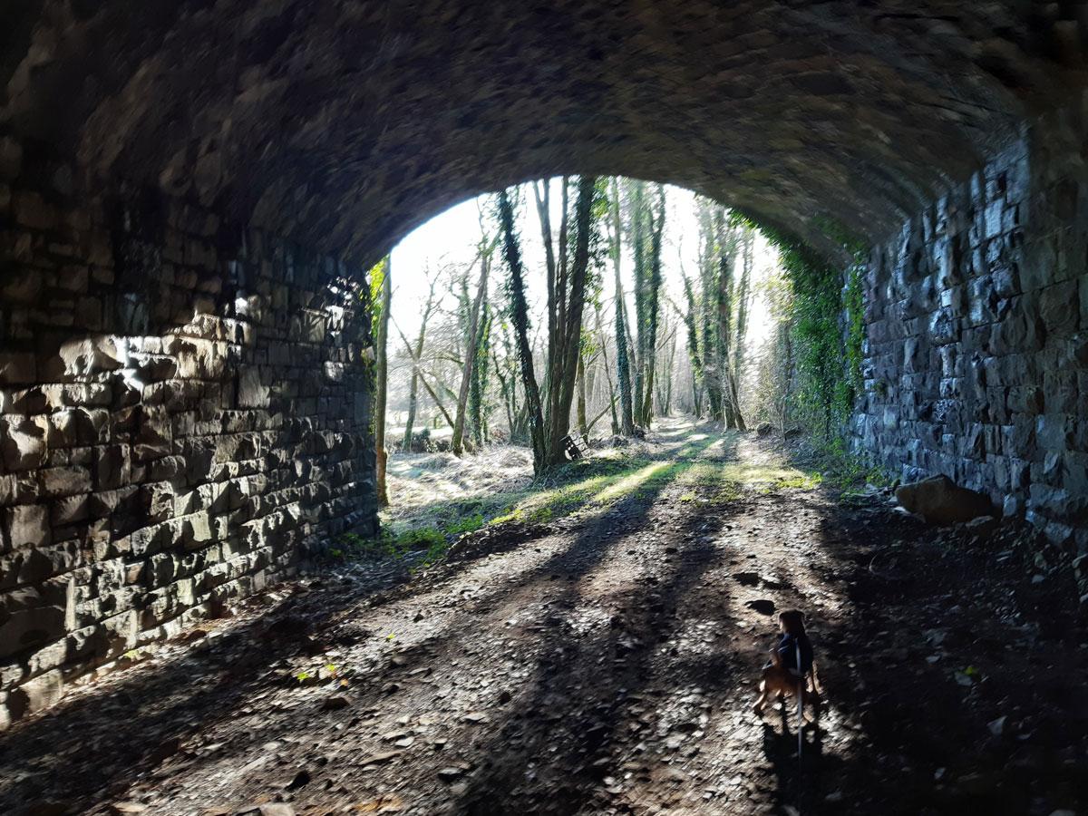 Wringworthy-Farm-Dartmoor-tunnel